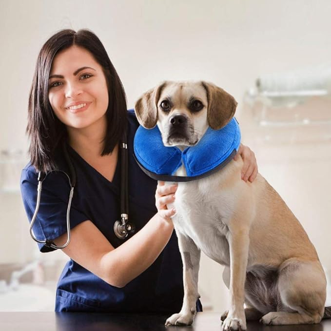 VST Comfortable Inflatable Cone Collar for Dogs,Adjustable Soft Pet Recovery Collar Prevent Pets from Touching Biting Scratching at Injuries Wounds (M)