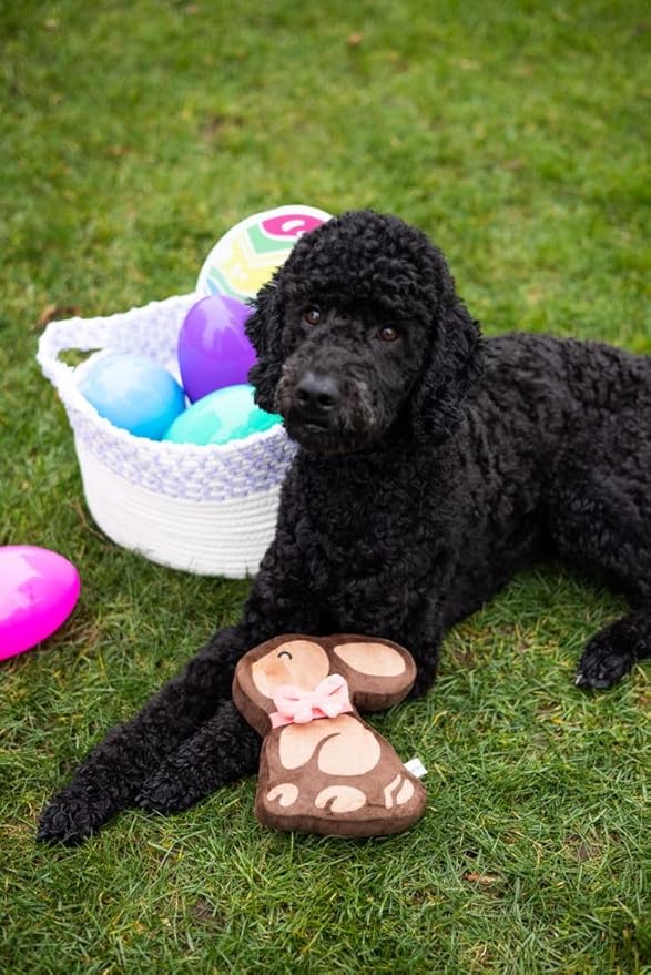 Pearhead Chocolate Bunny Plush Dog Toy, Easter Squeaky Dog Toy, Soft Plush Pet Toy for Dogs and Puppies, Easter Basket Gift for Pets