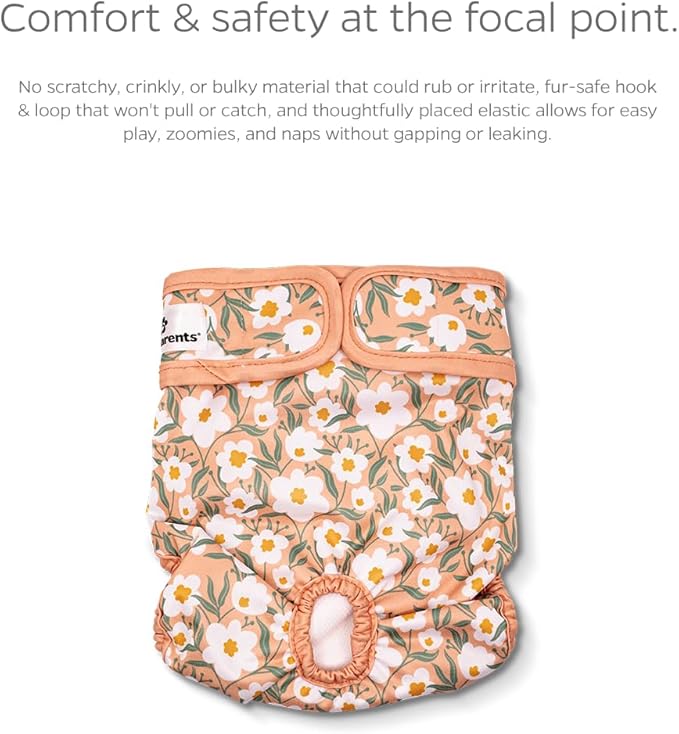 Pet Parents® Washable Dog Diapers (3pack) + Extendrs® of Durable Doggie Diapers, Premium Dog Diapers Female (Medium, Daisy)