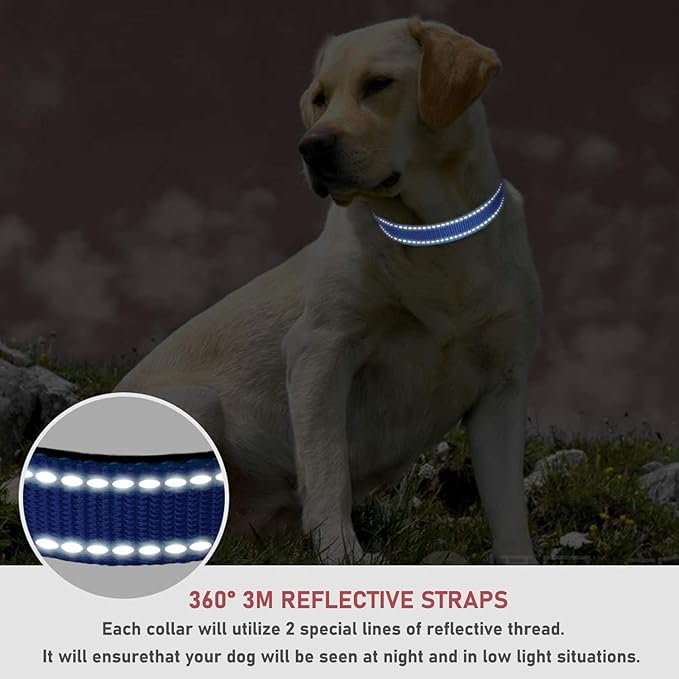 Reflective Dog Collar with Buckle Adjustable Safety Nylon Collars for Small Medium Large Dogs, Navy Blue XL
