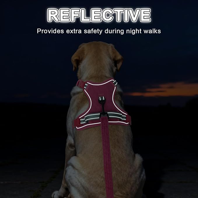 BEAUTYZOO No Pull Dog Harness Large, Adjustable Dog Harness and Leash Set -Easy Wearing with 3 Buckles/Control Handle,No Choke Soft Padded Reflective Pet Vest for Training Walking Hiking,Rose L