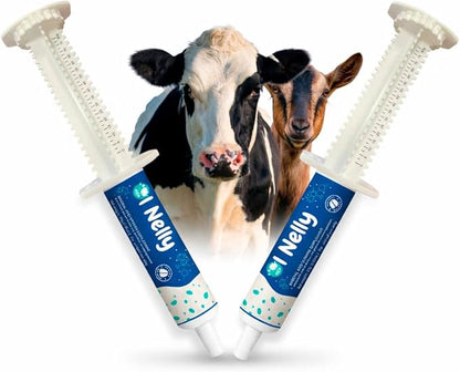 Ruminant Probiotic Paste for Cattle & Goats | Prebiotic + Probiotic | 6 Strains, 8B CFU | Digestive, Rumen & Immune Support - Pack of 2-80G Each