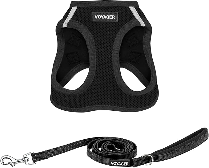 Best Pet Supplies Voyager Step-in Air All Weather Mesh Harness and Reflective Dog 5ft Leash Combo with Neoprene Handle, for Small, Medium and Large Breed Puppies - Set (Black), X-Small