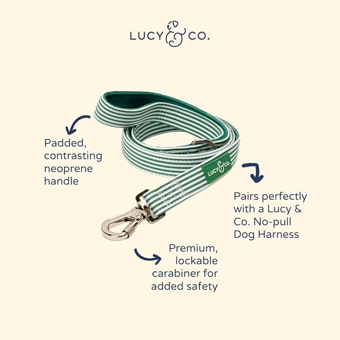 Lucy & Co. Tomato, Tomahto Dog Leash, Durable Matching Dog Lead with Heavy Duty Hardware, Small
