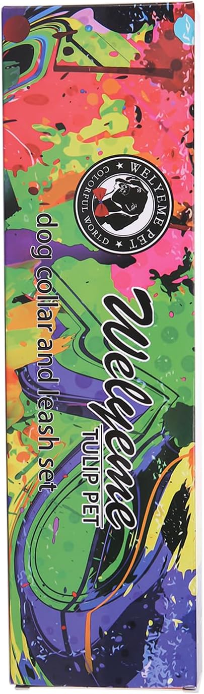 Dog Collar and Leash Set for XSmall Small Medium Large Dogs, Rainbow Stripes, Tie Dye Dog Collar (S(9.9''-11.8''))