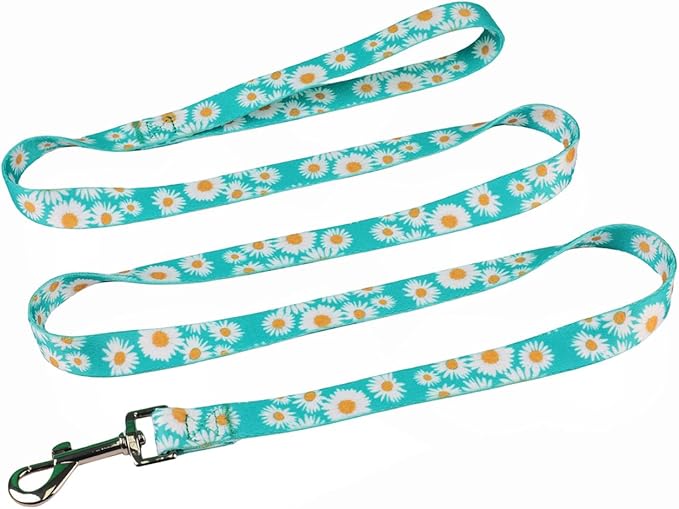 Harness and Leash Set, Floral Pattern, 5ft Matching Leash, No Pull, Easy Wear for Small Dogs.(S, Green Daisy)