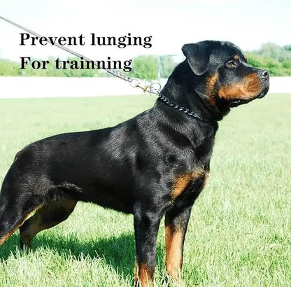 Chain Choke Collar for Dogs, Metal Slip Link Training Heavy Duty Dog Choker Collar Puppy Collars for Small Medium Large Big XL Breed Dogs, 2xSilver L