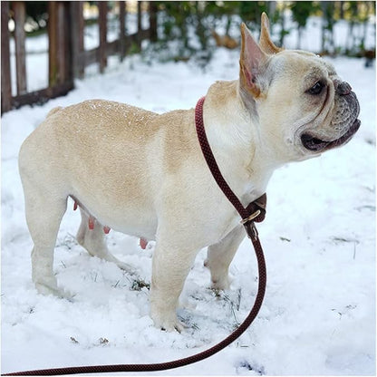 BTINESFUL 7FT Slip Lead Dog Leash, 1/4" Nylon Rope Dog Training Leash, No-Pull Leashes for Small Medium Dogs Walking Controlling