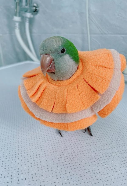 Adjustable Parrot Cone Collar, Safe and Practical Cotton Collar to Prevent Bites and Licking Wounds, to Help heal (2M)