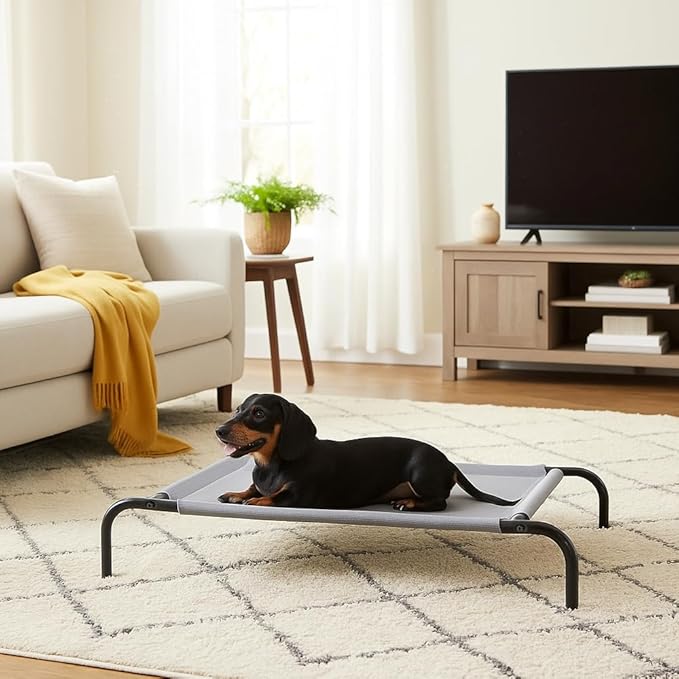 Amazon Basics Cooling Breathable Elevated Dog Bed with Metal Frame for Small Dogs, 36" x 22" x 7.5", Grey