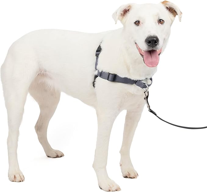 PetSafe Easy Walk Deluxe Dog Harness, No Pull Dog Harness – Perfect for Leash & Harness Training – Stops Pets from Pulling and Choking on Walks – Medium/Large, Steel