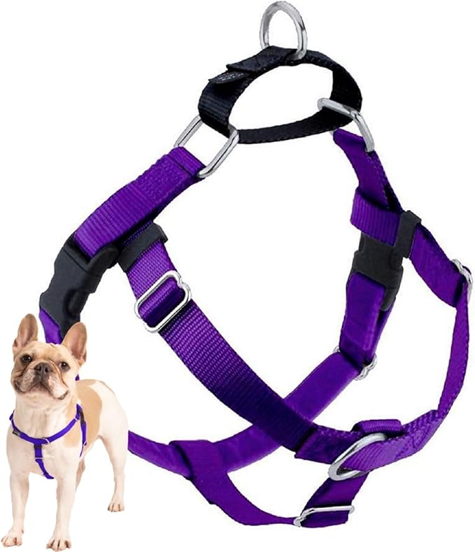2 Hounds Design Freedom No Pull Dog Harness, Adjustable Harness, Easy Walking & Comfortable Control, Fits Small, Medium & Large Dogs, Solid Colors, Made in USA, 5/8" SM, Purple