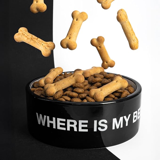 Fisura Ceramic Dog Bowl – Original Black Pet Dish Where is My Beer? – 25 oz Capacity for Small, Medium & Large Dogs – Food & Water Bowl, 6.3 x 6.3 x 2.4 in
