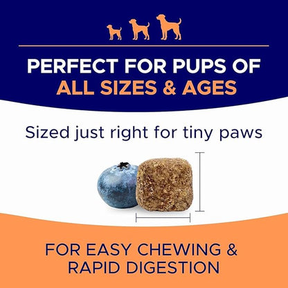 Dog Allergy Relief Chews — Anti-Itch Skin & Coat Supplement: No Fillers, Just Flavor - Itchy Skin Relief Treatment w/Omega 3 Fish Oil - Itching&Paw Licking - Dry Skin&Hot Spots - BBQ Chicken