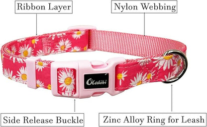 Dog Collar Leash Set, Floral Pattern, Nylon Webbing Plus Cotton Ribbon, 5ft Matching Leash, for Small Dogs.(S, Pink Daisy)
