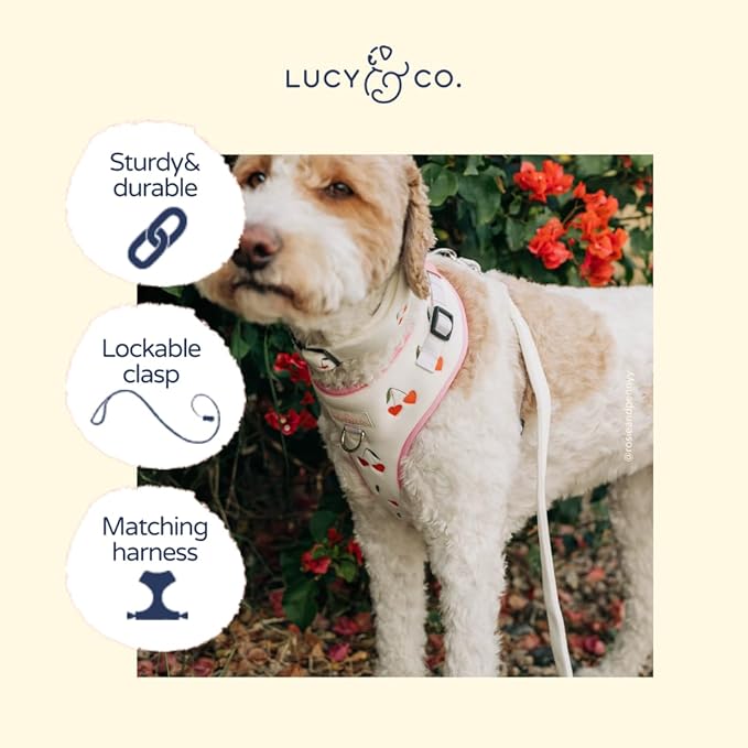 Lucy & Co. Sipping Slowly Dog Leash, Durable Matching Dog Lead with Heavy Duty Hardware, Large