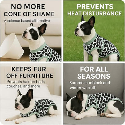 PetWarm Dog Cone Alternative After Surgery, Recovery Suit for Female Male Dogs Onesie After Surgey Spay Neuter, Anti-Licking Pet Surgical Recovery Onesies, Dog Onesie, Leopard Pattern, Green, M