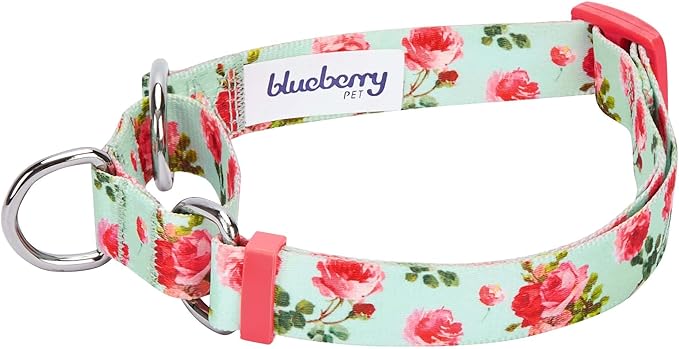 Blueberry Pet Spring Scent Inspired Rose Print Martingale Safety Training Dog Collar, Turquoise, Large, Heavy Duty Adjustable Collars for Dogs