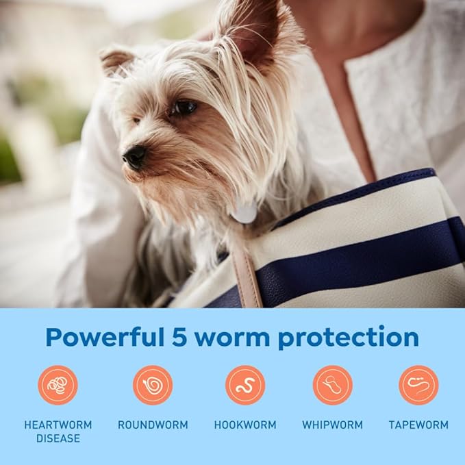 Interceptor Plus Prevention for Heartworm + 4 Other Worms for Dogs 2-8 lbs. | 1 Chew, 1-Month Supply