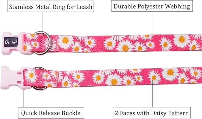 Dog Collar and Leash Set, Cute Pink Daisy Pattern, Polyester Material, 5ft Leash, for Small Dogs.(Small, Pink Daisy)