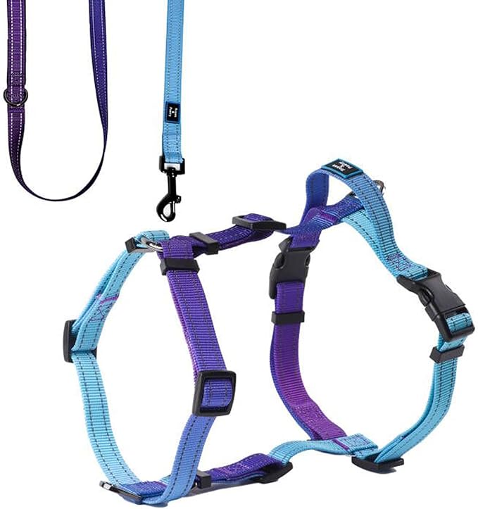 Roses&Poetry Dog Harness for Large Dogs, No-Pull Dog Harness and Leash Set Adjustable Reflective, Dog Vest Harnesses Comfort Padded Handle, Pet Harness for Training Outdoor Walking（Gsky-L