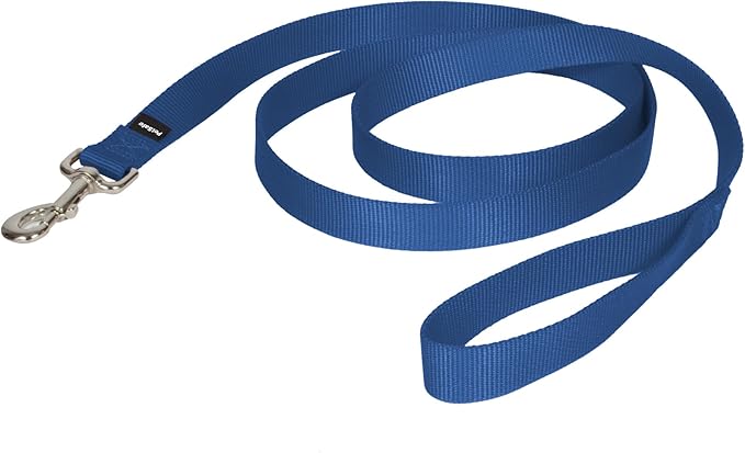 PetSafe Nylon Leash - Helps Maintain Secure Connection on Walks - Durable Pet Leash with Easy Clip - 1 in. x 6 ft. - Royal Blue