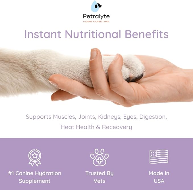 Dog Electrolytes and Joint Supplement | Glucosamine, Chondroitin & MSM for Inflammation and Mobility Support | Electrolytes for Dogs with Prebiotics | Salmon Lovers | 16 Packets