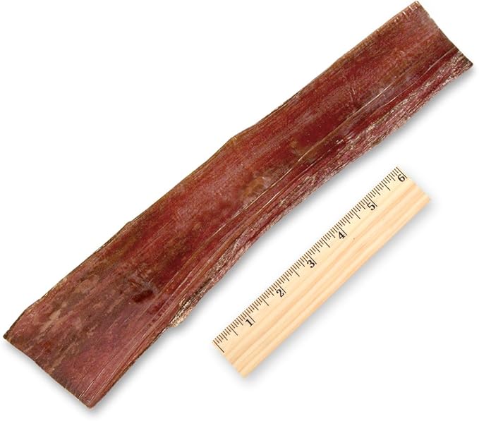 GigaBite Beef Esophagus Dog Treats - Natural Gullet Sticks for Dogs, High Protein Single Ingredient Dog Chews, Rawhide Free Dental Dog Treats for All Dog Breeds - Strips (10 inch), Pack of 10