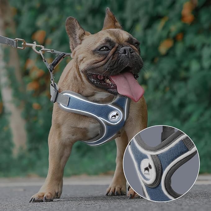 Dog Harness with Leash Set, No Pull Adjustable Step in Dog Collars Harness with Breathable Padded Vest for Small Medium Large Training and Running(XS, Blue)