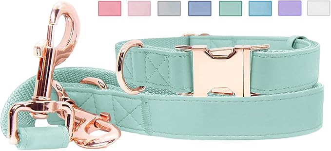 Soft Leather Dog Collar and Leash (6.6') Set - Stylish Rose Gold Heavy Duty Metal Buckle, 4 Adjustable Lengths Leash for Small Medium Large Dogs - Comfortable & Easy to Clean Mint Green S(12.2"-16.9")
