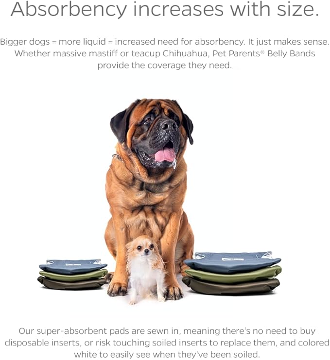 Pet Parents® Washable Belly Bands for Male Dogs (3pack) + Extendrs® of Durable Dog Diapers Male, Premium Male Dog Diapers & Dog Wraps (Medium, Koda)