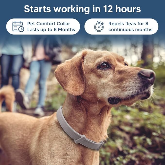 Flea Collar for Dogs, Tick and Fleas Collar for Large Dog, Adjustable Dog Tick Collars for Medium & Large Breeds, Sturdy with 8 Months Protection-Pack of 2