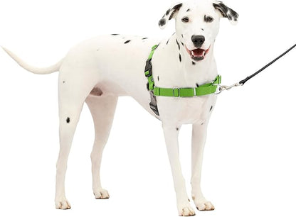 PetSafe Easy Walk Harness for Dogs - Pull-Free Walks - Patented Martingale Loop Design - Front Chest Leash Attachment - Comfort Straps - Breathable Harness Design - Medium/Large, Apple Green/Gray
