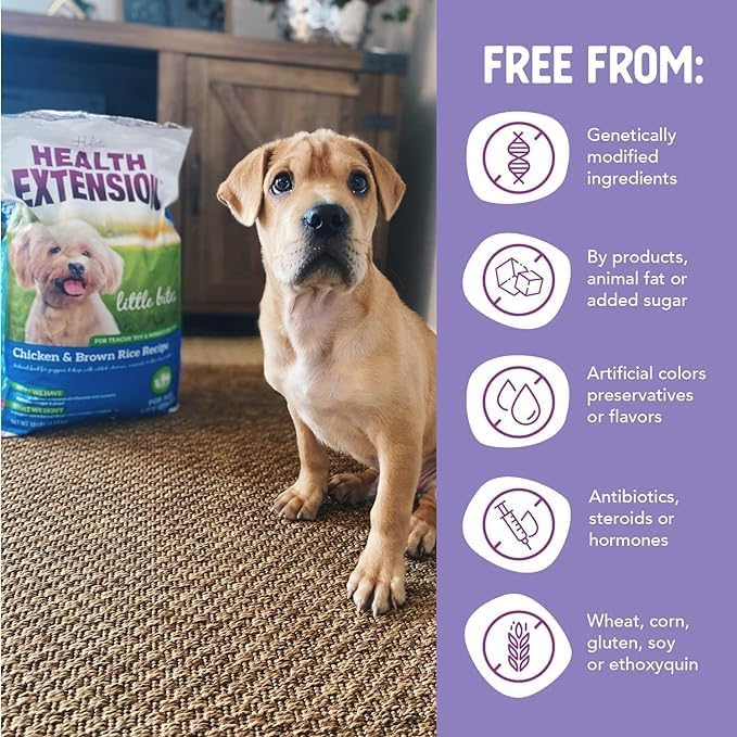 Health Extension Little Bites Dry Dog Food for Toy and Small Breeds, Chicken & Brown Rice Recipe, with Probiotics & Superfoods for Digestion & Coat Health, 4 lb Bag (Pack of 2)