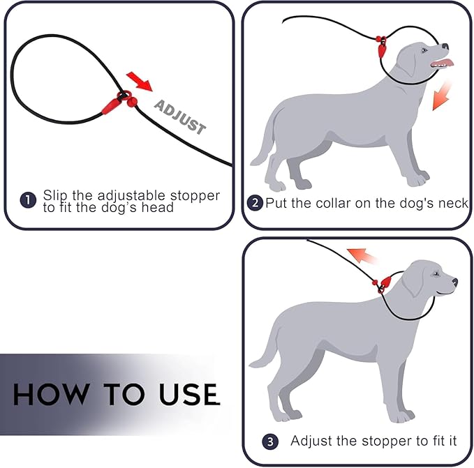2 Pack Slip Leads for Dogs 6FT Slip Leash for Dogs Dog Lead Strong Nylon Dog Training Leash No Pull Rope Dog Leash Dog Leashes for Small Medium Dogs(Black+Black)