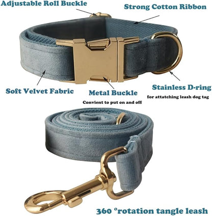 Love Dream Velvet Dog Collar and Leash Set, Soft & Comfy Adjustable Dog Leash and Collar with Heavy Duty Metal Buckle for Small Medium Large Dogs Training & Walking (Large, Pearl Blue)