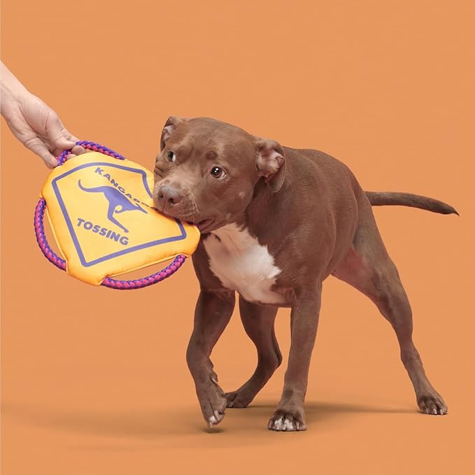 Barkbox Kangaroo Tossing Flying Disc Dog Toy | Fluff-Free Crinkle Disc with T-Shirt Rope Edge | Durable Fetch & Tug Toy for Dogs & Puppies