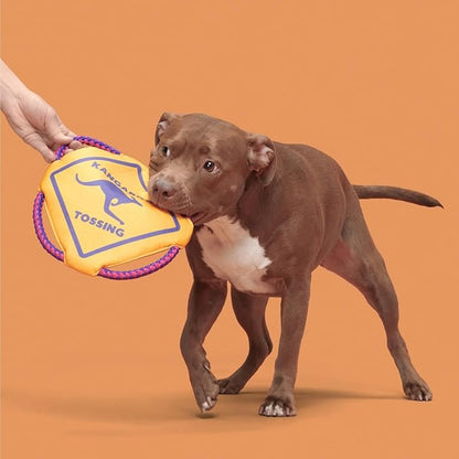 Barkbox Kangaroo Tossing Flying Disc Dog Toy | Fluff-Free Crinkle Disc with T-Shirt Rope Edge | Durable Fetch & Tug Toy for Dogs & Puppies