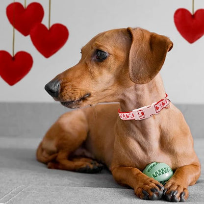 azuza Valentine's Day Dog Collar and Leash Set, Adjustable Pink Dog Collar with Glittery Pink Heart Pattern Matching Leash Valentines Day Gift for Small Dogs