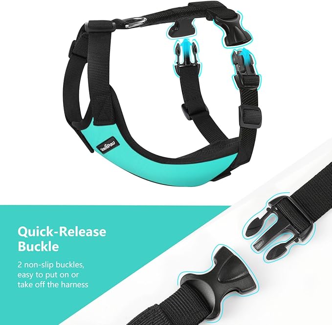 VavoPaw Dog Seat Belt, Safety Vest Dog Car Harness with Adjustable Buckle Dog Seat Belt for Vehicle Nylon Pet Safety Seat Belts Heavy Duty(XXL, Blue)