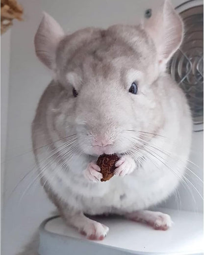 Exotic Nutrition Dried Rose HIPS (3 oz.) - Healthy Natural Treat - Chinchillas, Guinea Pigs, Rabbits, Prairie Dogs, Degus, Hamsters, Rats, Squirrels, Parrots, Chickens, Ducks & Other Small Pets