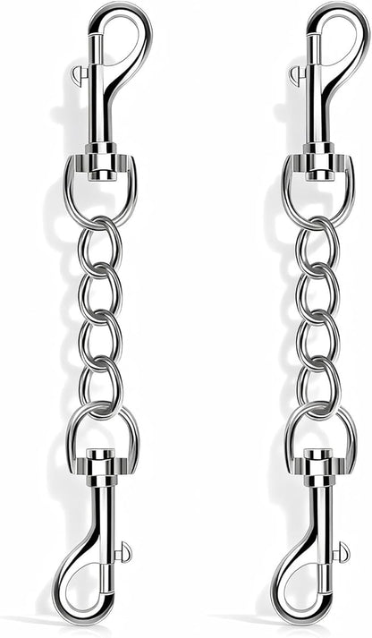 2 PCS Dog Collar Metal Safety Clip, Harness Collar Leash Chain Connector, Heavy Duty Double End Spring Backup Buckle Clasp, Escape-Proof Safety Accessory (Small, Silver)