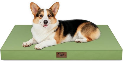Outdoor Orthopedic Dog Bed, Waterproof Dog Bed for Large Dogs 36x27 Inch, Egg Crate Foam Pet Mat with Washable Removable Oxford Cooling Cover, Light Green