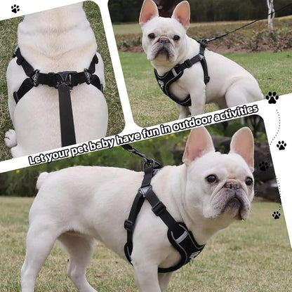 Dog Harness and Leash Set, Adjustable Triangle, Reflective Adjustable Puppy Vest, No Pull Soft Mesh Harness for Small, Medium Dogs, Cats (Black, L)