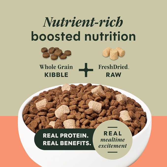 Instinct RawBoost, Natural Dry Dog Food with FreshDried Raw, Whole Grain Recipe - Real Salmon & Brown Rice, 19 lb. Bag