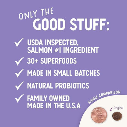 Health Extension Grain Free Salmon & Sweet Potato Dry Dog Food - 30+ Superfoods and Probiotics for All Life Stages (10 lb)