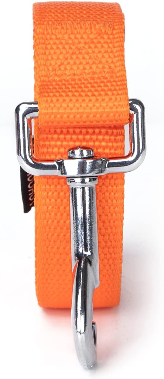 Strong Durable Nylon Dog Training Leash, 1 Inch Wide Traction Rope, 6 ft 10ft 15ft Long, for Small and Medium Dog (Orange, 10 Feet)