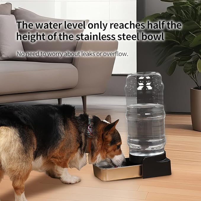 PAKEWAY 1.5 Gallon Automatic Gravity Dog Water Bowl Dispenser, Stainless Steel Large Capacity Pet Waterer with 3 Filters for Medium Dogs and Cats