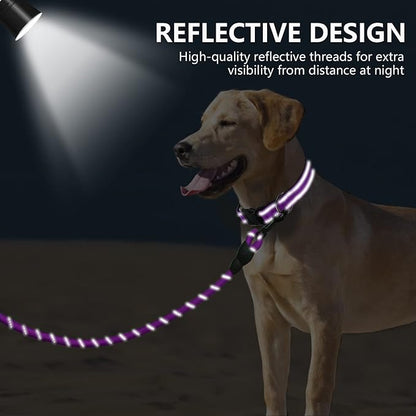 Dynmeow Reflective Dog Collar and Leash Set, 6FT Strong Climbing Rope Leash with Padded Handle, Adjustable Pet Collar with Soft Neoprene Padding for Large Dogs, Purple, L