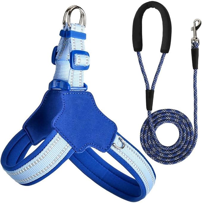 Reflective Dog Harness and Leash Set Designed for Collie, Anti-Pull Adjustable Pet Harness and Leash Blue XL